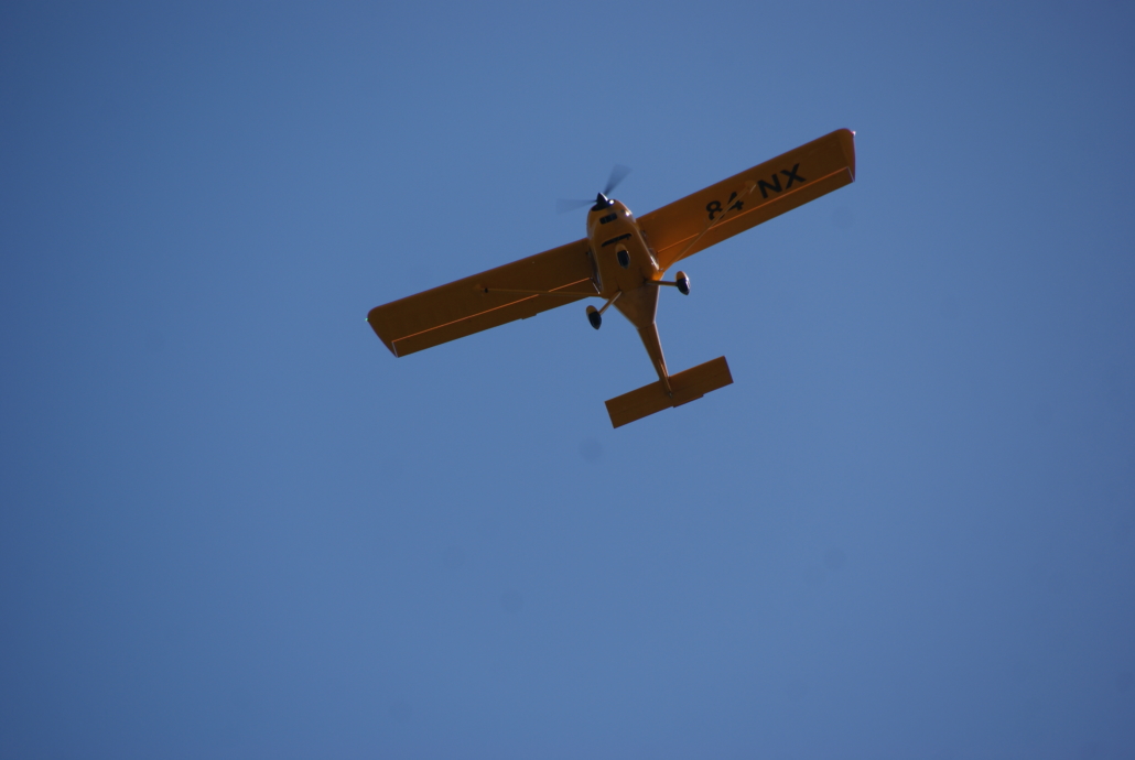 SONY DSC